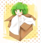  bad_id bad_pixiv_id blush box green_eyes green_hair hair_bobbles hair_ornament hosikuzu in_box in_container kisume long_sleeves open_mouth short_hair solo touhou twintails wide_sleeves 