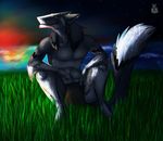  alex grass happy male night sergal sky smile solo stars sunrise surise water 