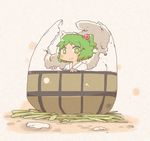  blush eggshell green_eyes green_hair hair_bobbles hair_ornament in_container inishie kisume nest short_hair side_ponytail smile solo touhou 