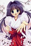  absurdres blue_eyes cherry_blossoms copyright_request hair_ribbon hakama highres japanese_clothes long_hair miko non-web_source purple_hair red_hakama ribbon ryouka_(suzuya) smile solo twintails 