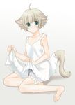  animal_ears barefoot bloomers dog_ears dog_tail dress dress_lift feet green_eyes mattaku_mousuke original short_hair solo tail underwear 