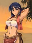  bandeau fushigi_no_umi_no_nadia hair_ornament hairclip hirakawa_(pixiv_id10950) jewelry loincloth midriff nadia necklace pelvic_curtain purple_eyes short_hair solo strapless sunset tubetop vest 