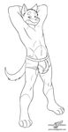  balls biceps big_balls black_and_white briefs bulge canine dog looking_at_viewer male mammal monochrome panties smile solo standing underwear wolfblade 