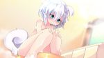  1girl animal_ear_fluff animal_ears blue_eyes blurry depth_of_field expressionless foam hands_on_own_knees highres nude original short_hair sitting steam tail white_hair zamudelin 