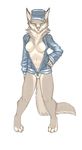  breasts cat chest_tuft clothed clothing feline female fur hat hi_res jacket looking_at_viewer mammal panties pira plain_background skimpy solo somali_cat standing tan_fur tuft underwear 