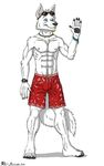  abs ace_stryker anthro biceps blue_eyes canine clothing eyewear facial_hair fur male mammal muscles nipples pecs pose shorts smile solo sunglasses swimming_trunks topless wolf 