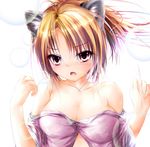  absurdres animal_ears breasts brown_hair cat_ears cleavage d: garyljq highres large_breasts oda_nobuna oda_nobuna_no_yabou open_mouth red_eyes wardrobe_malfunction 