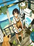  apron basket black_hair blush brown_eyes cloud day dress easel egg fox from_above looking_at_viewer looking_up mk_(masatusaboten) multicolored_hair original paint palette plant sand short_hair sky smile solo stairs two-tone_hair white_hair 