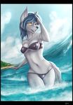  athe bikini blue_hair camel_toe canine clothed clothing female hair looking_at_viewer mammal one_eye_closed sea seaside skimpy solo swimsuit vexxt vexxy water wolf 