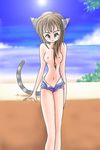 animal_tail ayane beach brown_hair clothed clothing cloud clouds denim_shorts detailed_background female hair human long_hair long_legs looking_at_viewer mammal open_fly ringed_tail seaside shorts slender slim smile solo standing striped_tail tree unknown_artist water wood yellow_eyes 