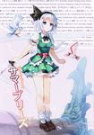  77gl bird black_hairband blue_eyes cover cover_page english hairband highres holding katana konpaku_youmu legs non-web_source scan shoes short_hair silver_hair skirt solo standing sword text_focus touhou weapon 