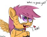  absurd_res collar cub dialog english_text equine extrart female feral friendship_is_magic hair hi_res mammal my_little_pony pegasus plain_background purple_eyes purple_hair scootalo_(mlp) scootaloo_(mlp) solo text white_background wings young 