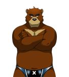  bear biceps briefs brown_fur chubby crossed_arms fur grizzly_bear juuichi juuichi_mikazuki looking_at_viewer male mammal morenatsu solo speedo swimsuit underwear unknown_artist ursine 