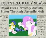  abuse armor blood bruise crown crying cutie_mark english_text equine eyes_closed female feral first_aid friendship_is_magic gavalanche gore hair horn horse long_hair male mammal my_little_pony newspaper pegasi_guard_(mlp) pegasus photo pink_hair plucking pony princess_luna_(mlp) royal_guard_(mlp) royalty scissors tears text winged_unicorn wings 