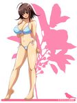  1girl bikini blush breasts highres large_breasts sakura_prin smile solo swimsuit 
