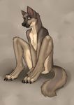  canine catwolf fur male mammal nude solo tan_fur 