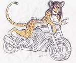  feline female leopard looking_at_viewer mammal motorcycle nude pinup pose shiverz sketch solo 