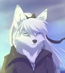  arctic_fox blue_eyes canine clothed clothing female fox fur jewelry koul mammal outside portrait snow solo white_fur 