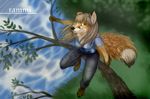 female fox green_eyes koul mammal outside rammi sitting sky solo tree wood 