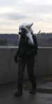  bridge camo cloudy female fursuit gloves koul photo real solo uniform 
