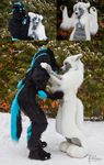  canine couple duo female fursuit koul koul_fardreamer male mammal photo real wolf 