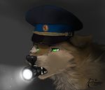  canine dog feral flashlight green_eyes hat korbi koul mammal solo 