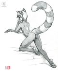  anthro breasts female hindpaw kacey looking_at_viewer looking_back mammal monochrome nude paws pinup plantigrade pose pussy red_panda sketch soles solo toes 
