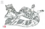  anthro breasts feline female greyscale hair hindpaw kacey leopard long_tail looking_at_viewer mammal monochrom monochrome nipples nude paws pinup plain_background pose sketch snow_leopard solo white_background 