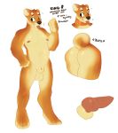  5_fingers animal_genitalia animal_penis anthro balls butt canid canine canine_penis canis collar dog erection hand_on_hip male mammal model_sheet navel nipples penis sheath shiba_inu simple_background solo tongue tongue_out zamzi 