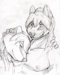 anthro badger canine duo grentain greyscale male mammal monochrome mustelid pencils sketch smile wolf 