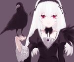  albino bird bird_on_hand choker crow dress expressionless gothic gothic_lolita hairband ica lolita_fashion lowres red_eyes rozen_maiden solo suigintou white_hair 