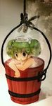  bad_id bad_pixiv_id bath bucket green_hair in_bucket in_container k_no_hito kisume nude solo touhou water wooden_bucket 