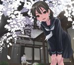  1girl cat cherry_blossoms glasses original reading school_uniform serafuku shimano_natsume veranda 