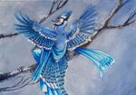  avian back_turned beak bird blue_feathers blue_jay blue_theme branch clothing cool_colors female heather_bruton looking_at_viewer looking_back sitting solo spread_wings tree winged_arms wings wood 