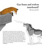  absurd_res canine english_text female feral fox hi_res juliet male mammal plain_background romeo text the_more_you_know unknown_artist white_background wolf 