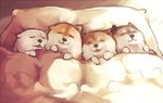  animal_focus bed dog ginziro lying no_humans on_back original pillow shiba_inu sleeping traditional_media under_covers 