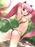  :d animal_ears armpits arms_up blush cat_ears cat_tail detached_sleeves emurin green_eyes gypsy_(ragnarok_online) highres open_mouth pink_hair ragnarok_online see-through sleeves_past_wrists smile solo tail wet 