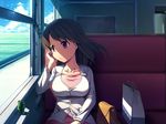  bag breasts brown_eyes can chin_rest collarbone kanisaka large_breasts long_hair looking_out_window original pink_eyes sitting solo sunlight train_interior window 