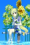  bad_id bad_pixiv_id blonde_hair dock fate_testarossa flower hair_ribbon long_hair lyrical_nanoha mahou_shoujo_lyrical_nanoha_strikers partially_submerged red_eyes ribbon shirt sitting skirt solo striped striped_shirt sunflower very_long_hair wagashi_(okashina) water 