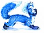  2009 blue canine chakat female fox heather_bruton herm intersex plain_background smile solo white_background 