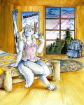  canine dress female heather_bruton indoor mammal mountain sitting ski solo wolf 
