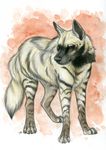  ambiguous_gender feral hyena korrok mammal solo 