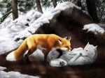  balls canine couple feral fox jocarra licking lying male mammal on_back outside realistic sheath snow tongue winter wolf 