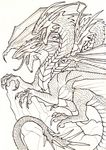  archir claws dragon fangs line_art monochrome multi_head open_mouth roaring ruth-tay solo tongue tongue_out wings 