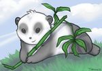  ambiguous_gender bamboo bear cute feral fur gray_fur grey_fur mammal outside panda smile solo toradoshi white_fur 