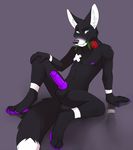  balls black black_fur black_nose canine dom erection flower folf fox fur gay grey_background hindpaw hybrid jailbird knot looking_at_viewer lupinefoxwolf male mammal nude paws penis plain_background presenting purple purple_pawpads purple_penis rose smile solo spread_legs spreading white white_markings wolf 