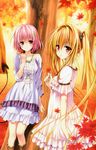  golden_darkness momo_velia_deviluke tagme to_love_ru to_love_ru_darkness 