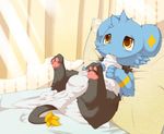  bed blanket cute feline feral lying mammal nintendo okunawa on_back pawpads paws pillow pok&#233;mon pok&eacute;mon shinx solo tears video_games yellow_eyes 