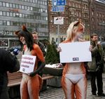  bodypaint canine exploitable fox peta protest 