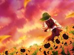  cloud flower from_behind green_hair kazami_yuuka oninoko sky solo sunflower touhou umbrella 